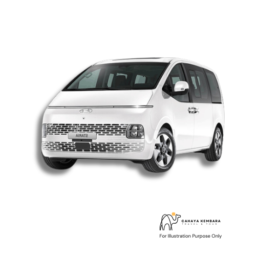 Hyundai Staria 2.2 (A)