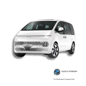 Hyundai Staria 2.2 (A)