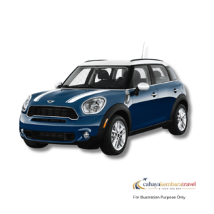 Mini Countryman 2.0 (A)